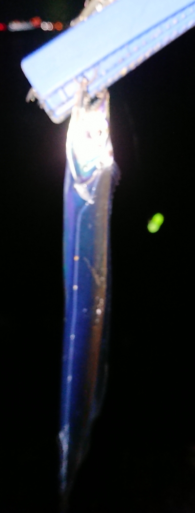 今シーズン初陣