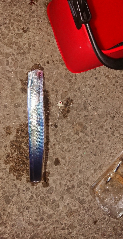 ちょっと成長した刀