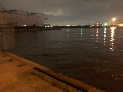 アジ探し南港。撃沈。