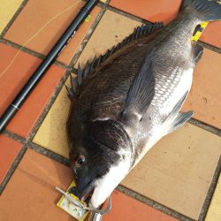 7月最後　～辰巳橋～