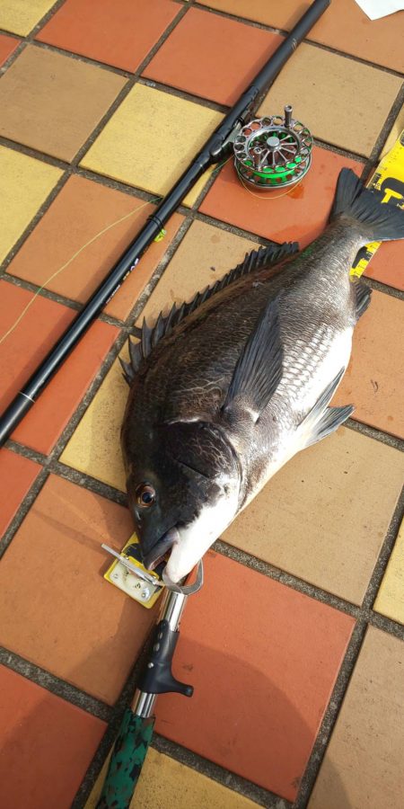 7月最後　～辰巳橋～