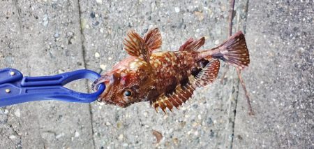 小物がぼちぼち