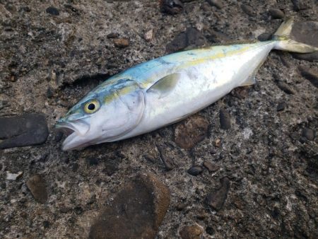 ダブルハンドルでなければ引きずり込まれてい…