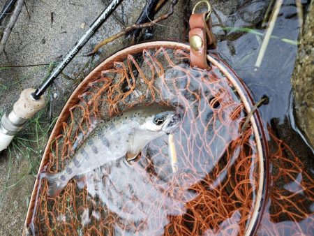 7寸まででした。