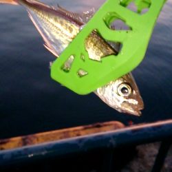 夏休みファミリーフィッシング