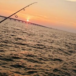 仕事帰りにワインド