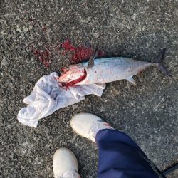 魚種たくさん。