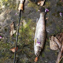 泣き尺( ノД`)…