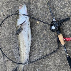 盆休み最終日・・・