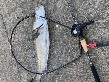 盆休み最終日・・・