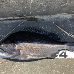 イチノ兄弟、釣果！