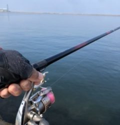 朝イチ のちサバサバサバ