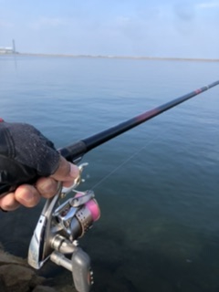 朝イチ のちサバサバサバ