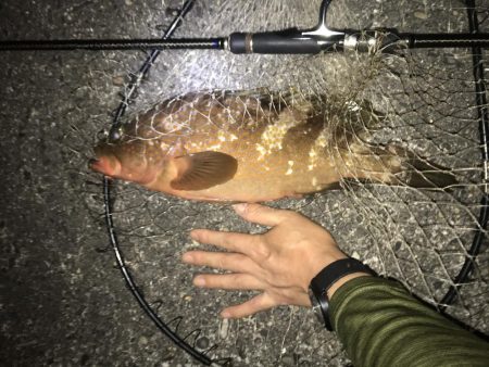 また食べたくなりました