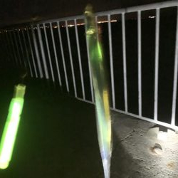 今年初の太刀魚