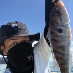 オフショア釣果投稿