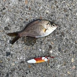 強風とおせんの嫌がらせ