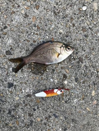 強風とおせんの嫌がらせ