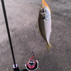 誕生日プレゼント