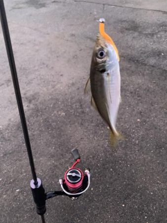 誕生日プレゼント