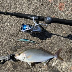 ショアジギング