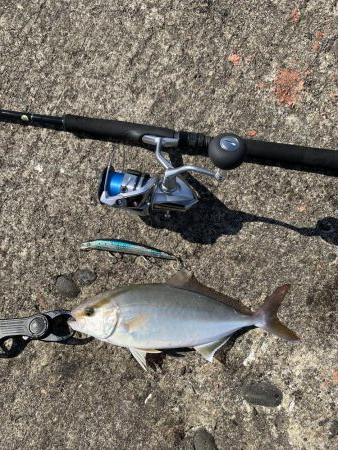 ショアジギング