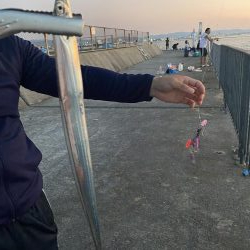 やっと釣れたけど、、