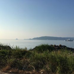 ゴロタでの釣行