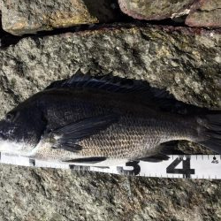 イチノ兄弟、釣果！