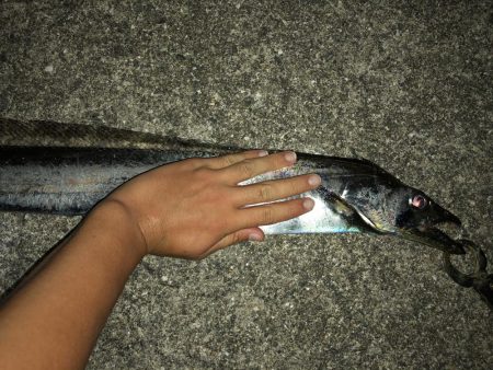 マヅメのワンチャンス