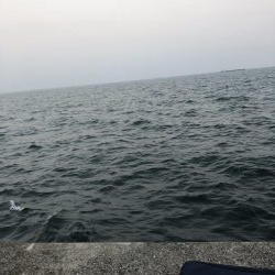 新ダイソーメタルジグ