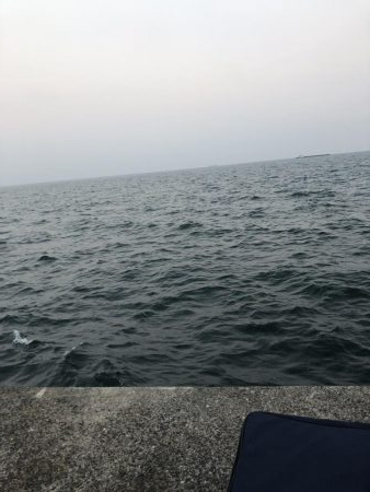 新ダイソーメタルジグ