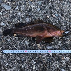 降りて歩いた甲斐が有りました!