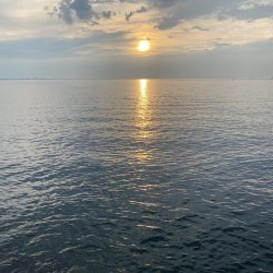 貝塚人工島　タチウオ