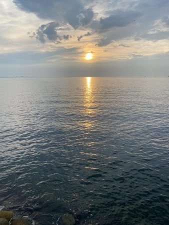 貝塚人工島　タチウオ