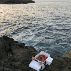 須江 ヒラトコでフカセ