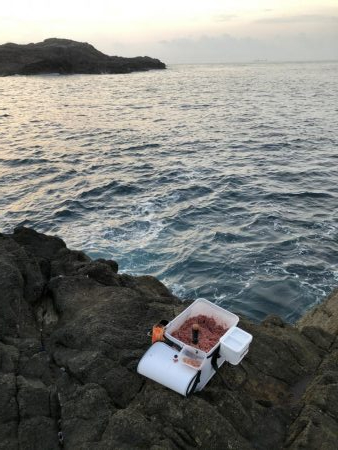 須江 ヒラトコでフカセ