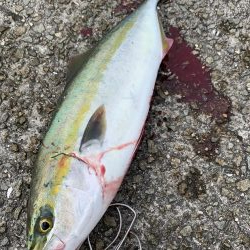 小物〜大物狙い