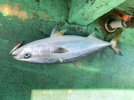 ポイントがちがいますよ