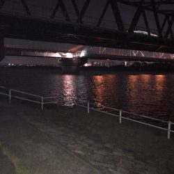 淀川のチニングパート2