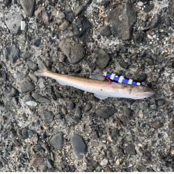 ウキとルアーでタチウオ釣り