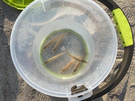 朝からキス狙い