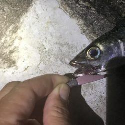 8月7日神戸空港