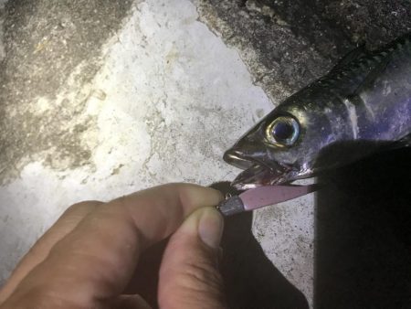 8月7日神戸空港