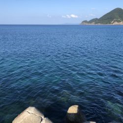 きまぐれ新子調査