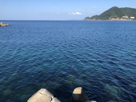 きまぐれ新子調査