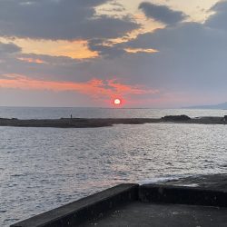 チニング&夜釣り