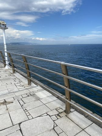 太刀魚青物ともに不発