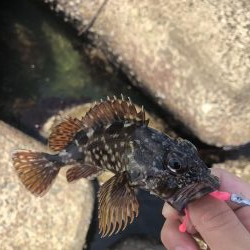 がしらとたけのこ