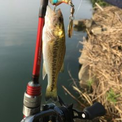 小バスに癒されて